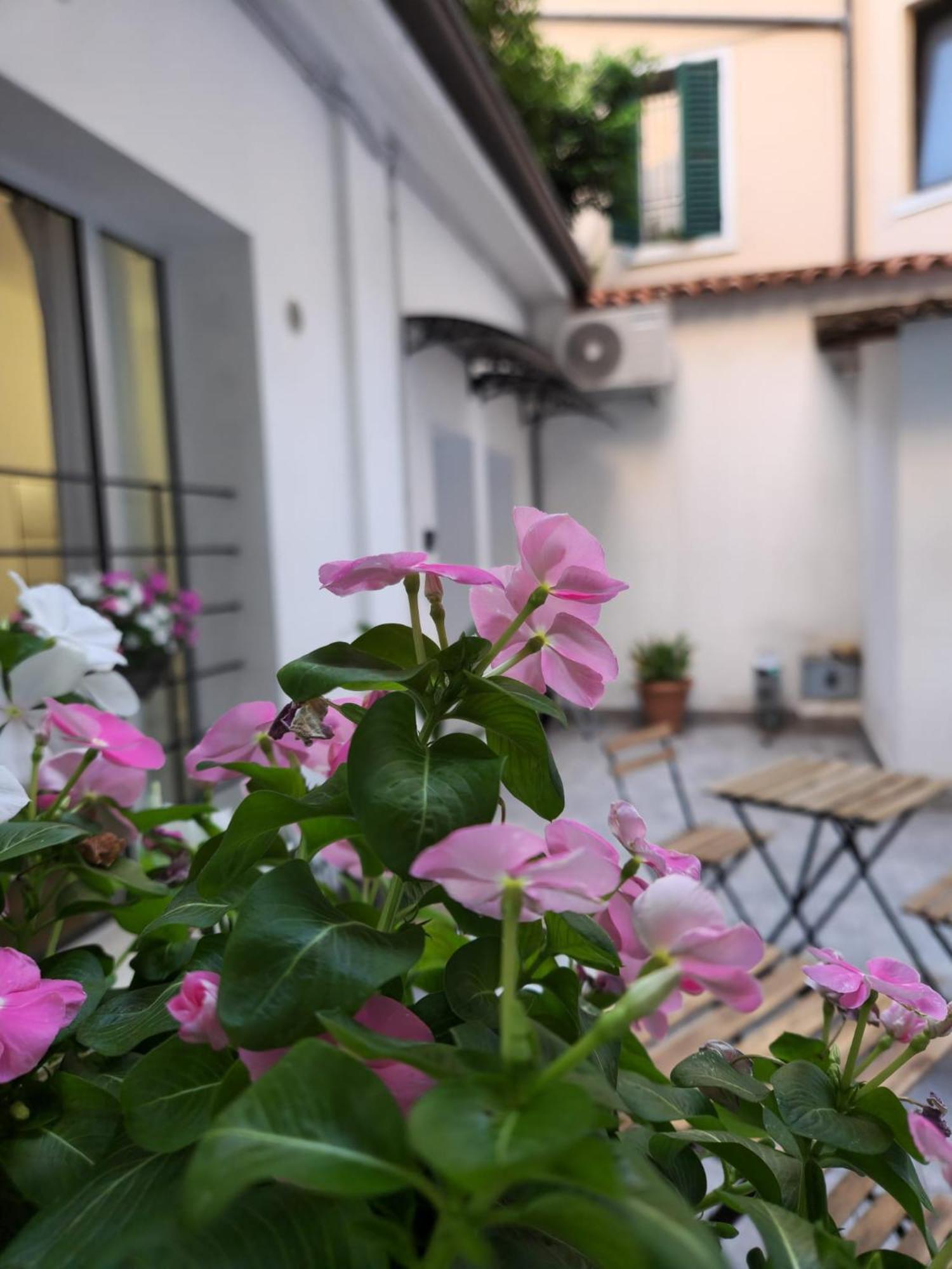 Tezone Seven Apartments 维罗纳 外观 照片
